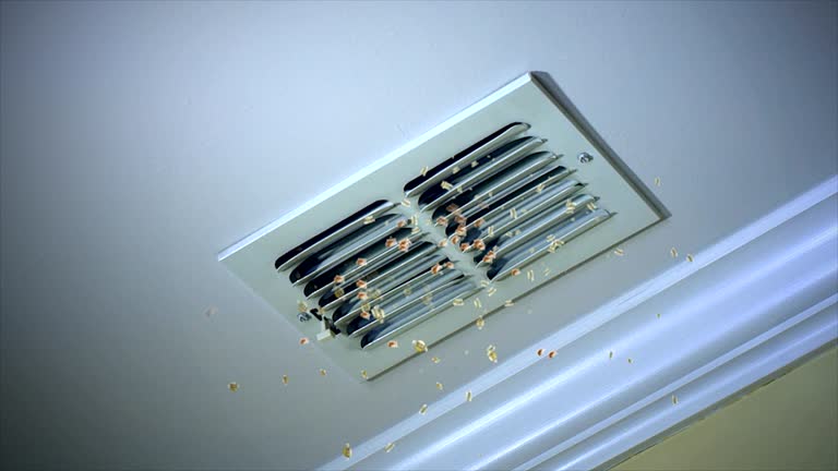 Best Residential Air Duct Cleaning  in Lomira, WI