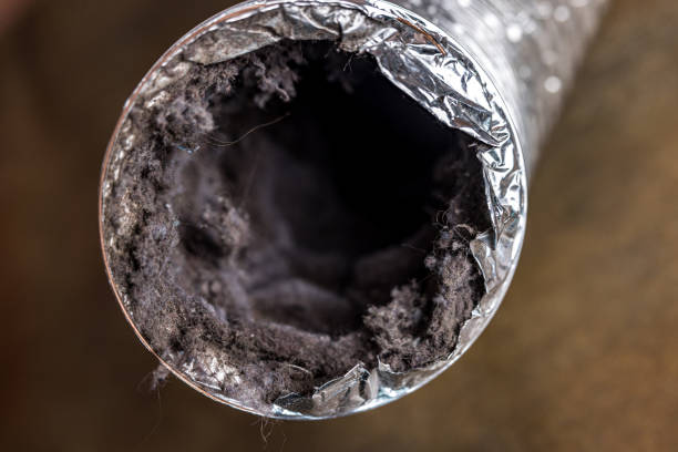 Best Affordable Air Duct Cleaning  in Lomira, WI